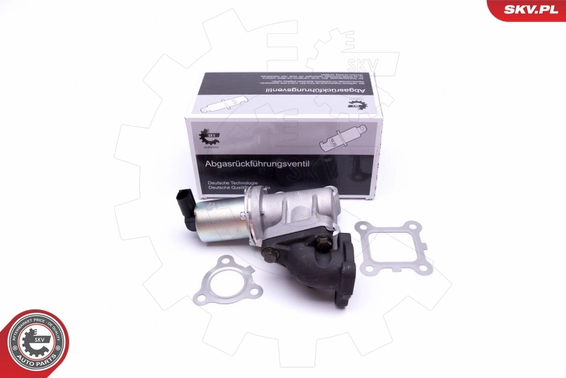 EGR Valve
